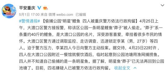 警方发布通报！重庆40斤重网红鲤鱼“莽子”，再也回不来了！