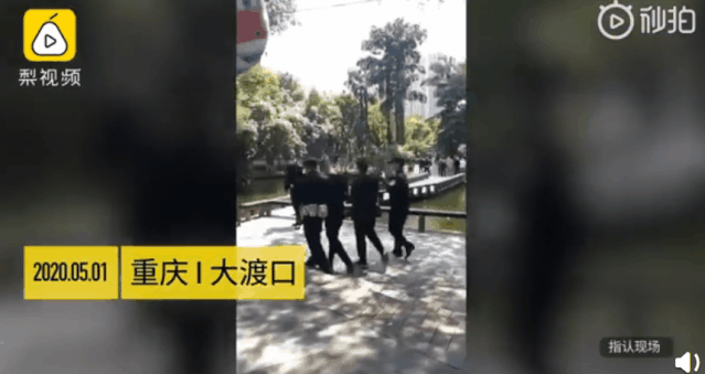 警方发布通报！重庆40斤重网红鲤鱼“莽子”，再也回不来了！